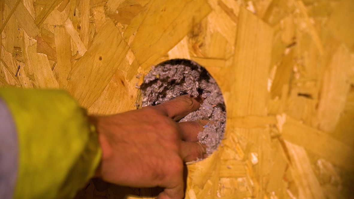 Timber frame structure filled with cellulose fibre insulation