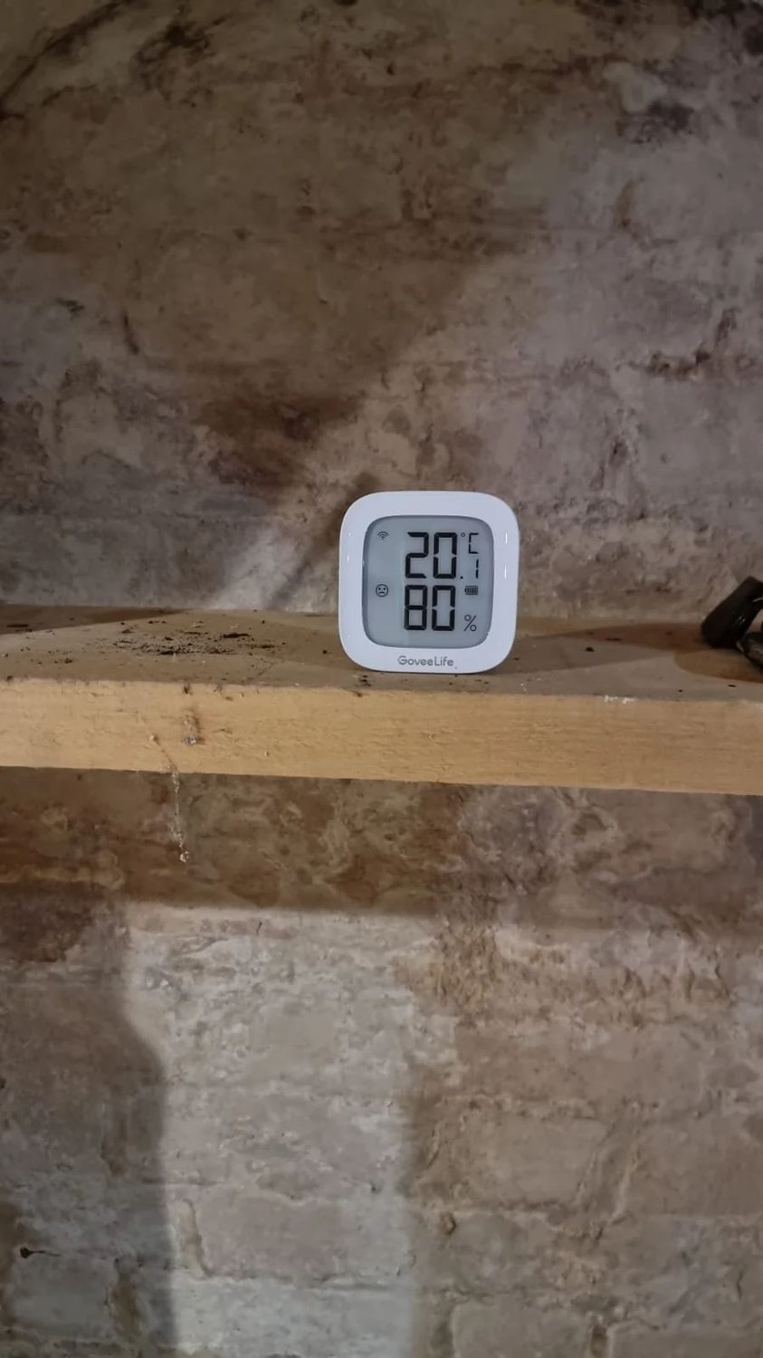 Humidity in basement before insulation