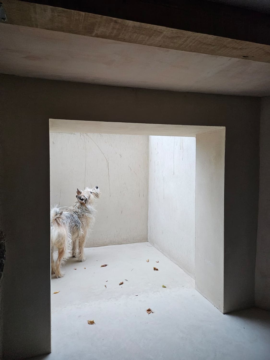 Walk on window installed above old coal chute